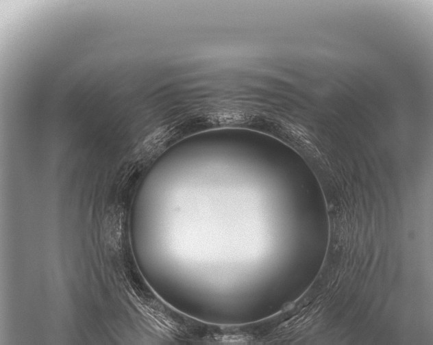 X0000059250645200510211630