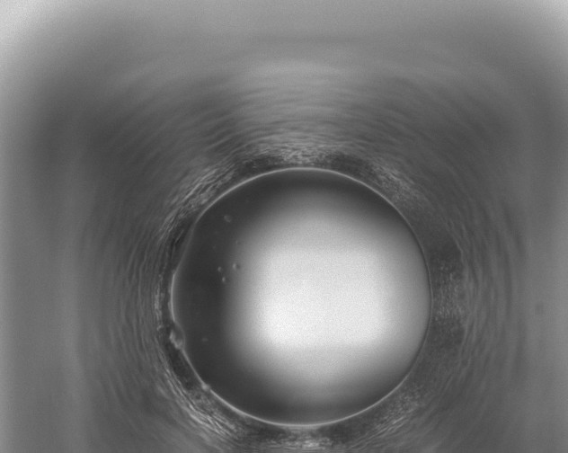 X0000059250646200510211630