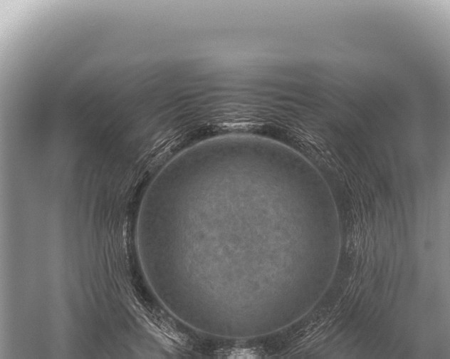 X0000059250647200510211630