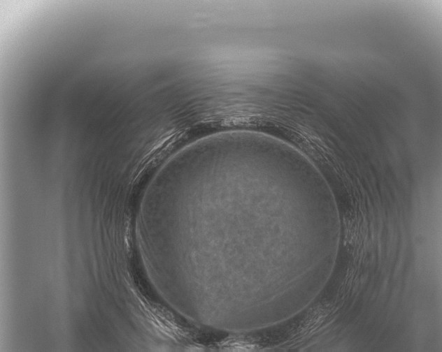 X0000059250648200510211630