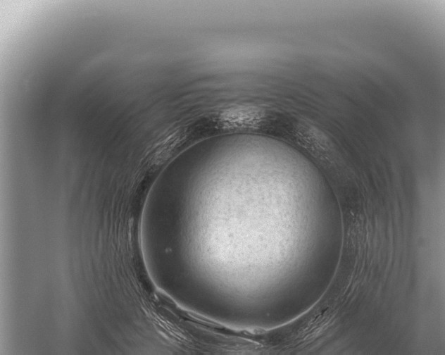 X0000059250649200510211630