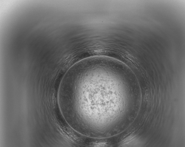 X0000059250651200510211630