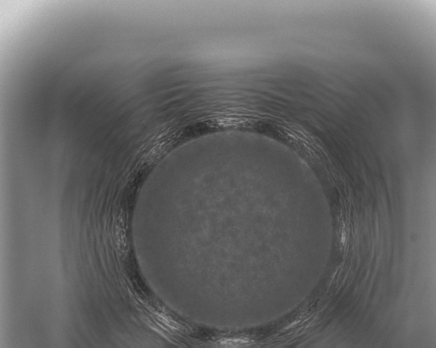 X0000059250653200510211630