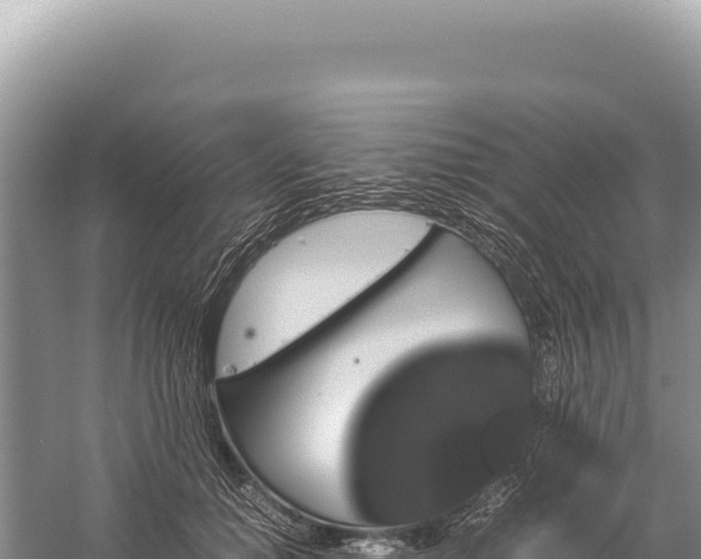 X0000059250654200510211630