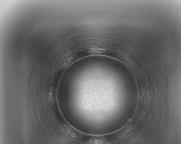 X0000059250655200510211630