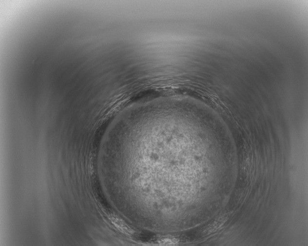 X0000059250658200510211630