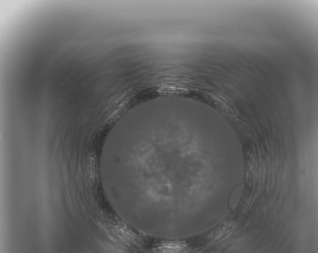 X0000059250659200510211630