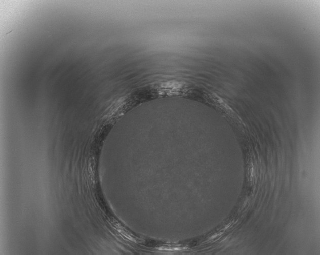 X0000059250661200510211630