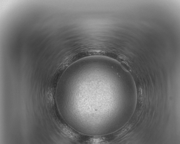 X0000059250662200510211630