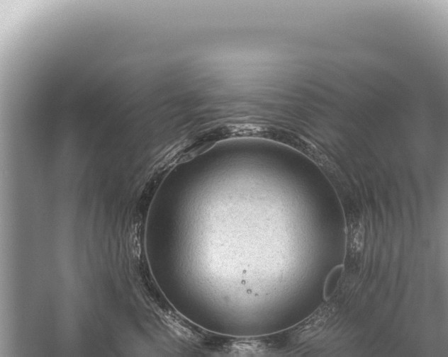 X0000059250666200510211630