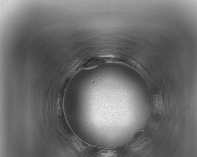 X0000059250667200510211630