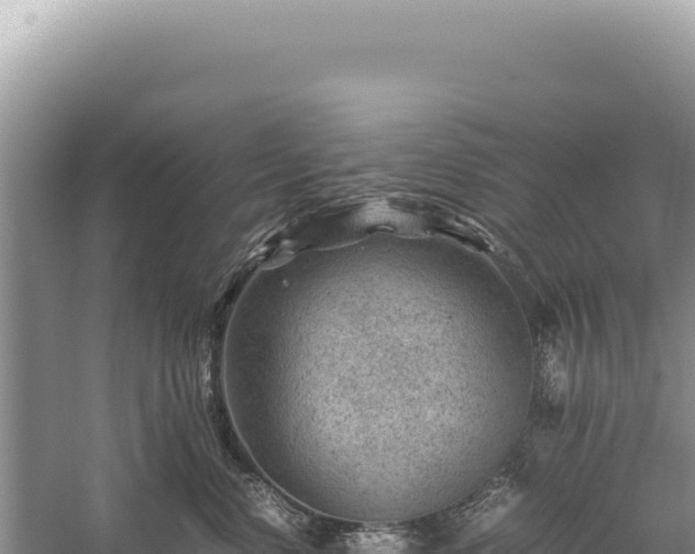 X0000059250668200510211630