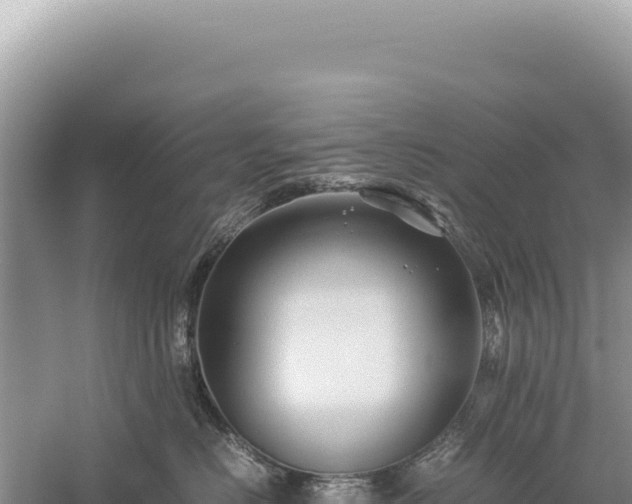 X0000059250670200510211630