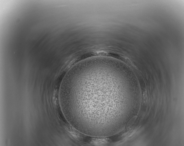 X0000059250671200510211630