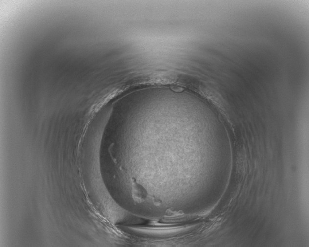 X0000059250673200510211629