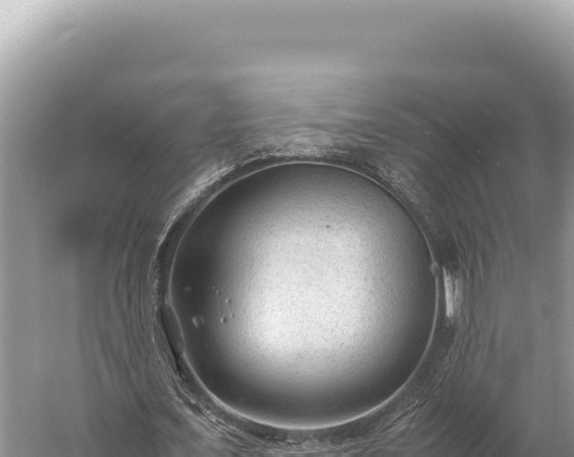 X0000059250675200510211629