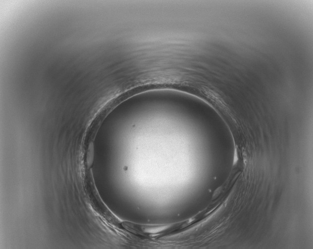 X0000059250676200510211629