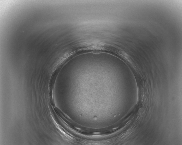 X0000059250677200510211629