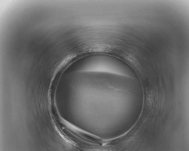 X0000059250678200510211629