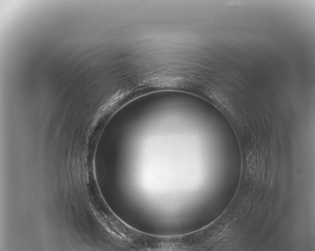 X0000059250682200510211629