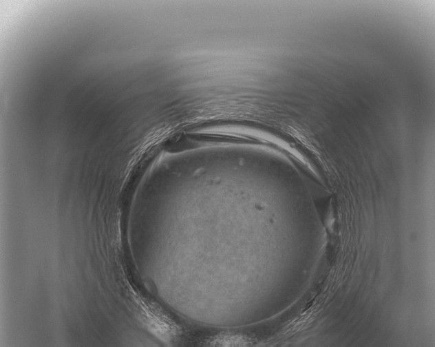 X0000059250685200510211629