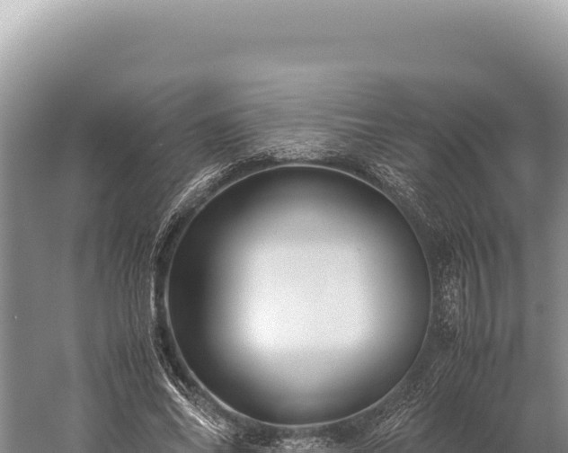 X0000059250686200510211629