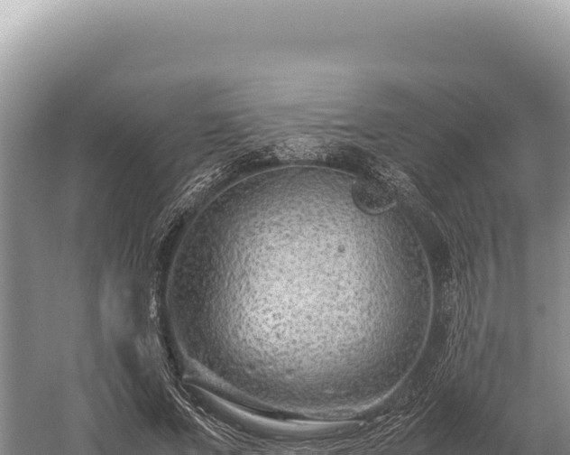 X0000059250687200510211629