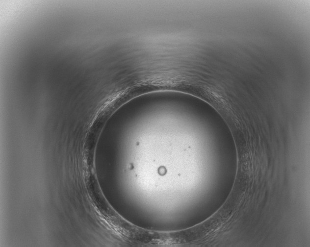 X0000059250688200510211629