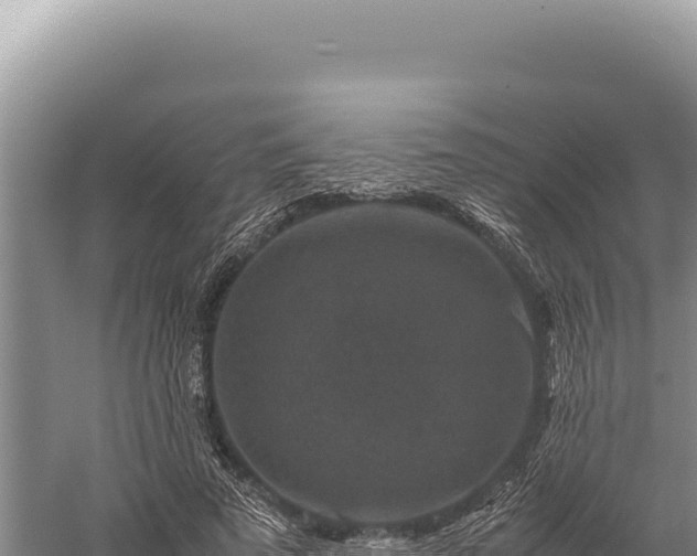 X0000059250689200510211629