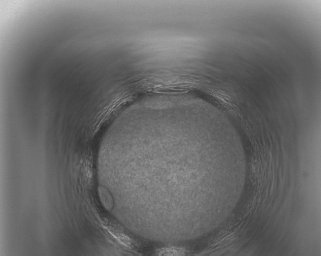 X0000059250691200510211629