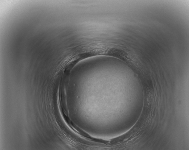 X0000059250693200510211629