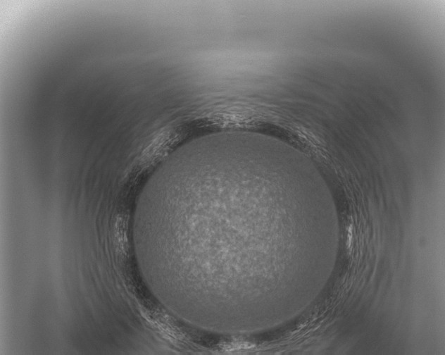 X0000059250695200510211629