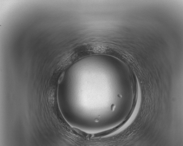 X0000059250697200510211629