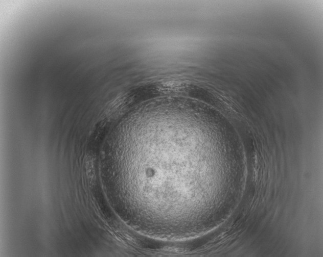 X0000059250699200510211629