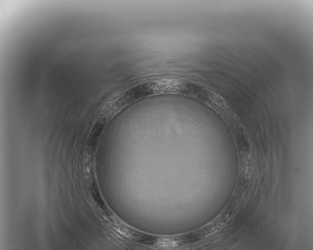 X0000059250701200510211629