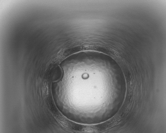 X0000059250703200510211629