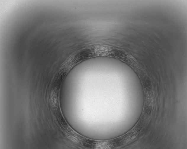 X0000059250705200510211629