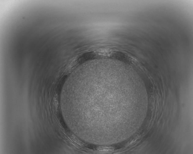 X0000059250707200510211629