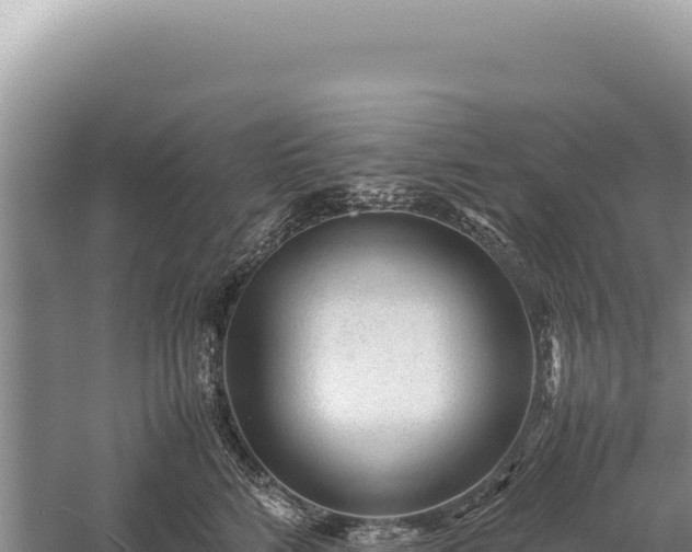 X0000059250712200510211629