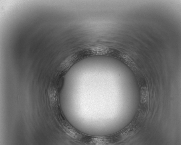 X0000059250713200510211629