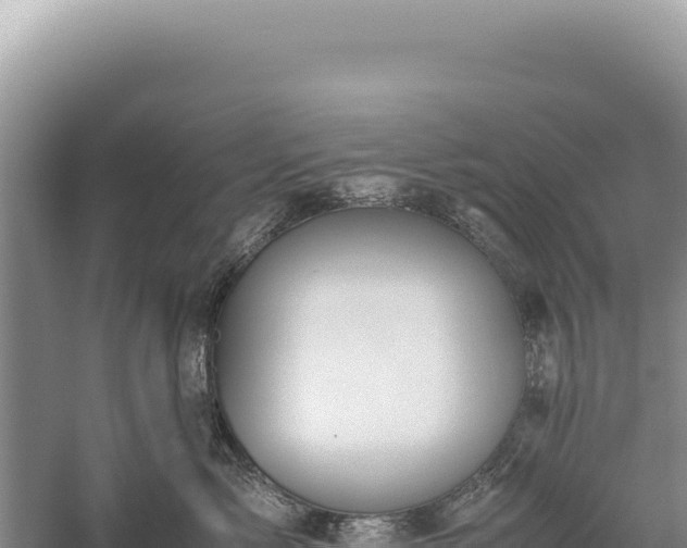 X0000059250717200510211629