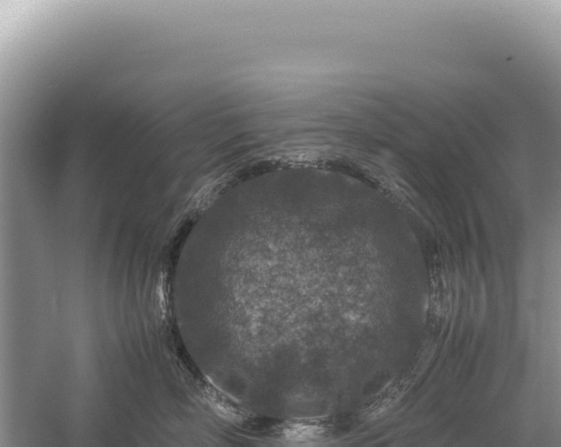 X0000059250718200510211629