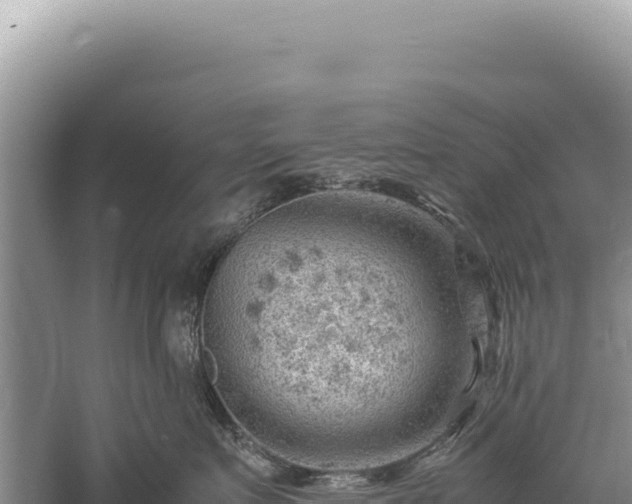 X0000059250719200510211629