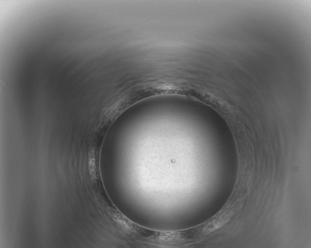 X0000059250720200510211629