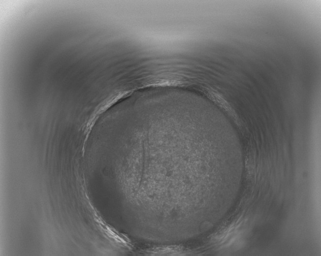 X0000059250721200510211628