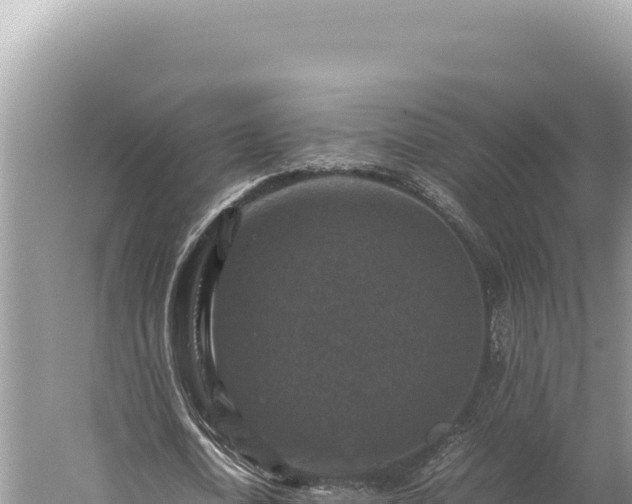 X0000059250722200510211628