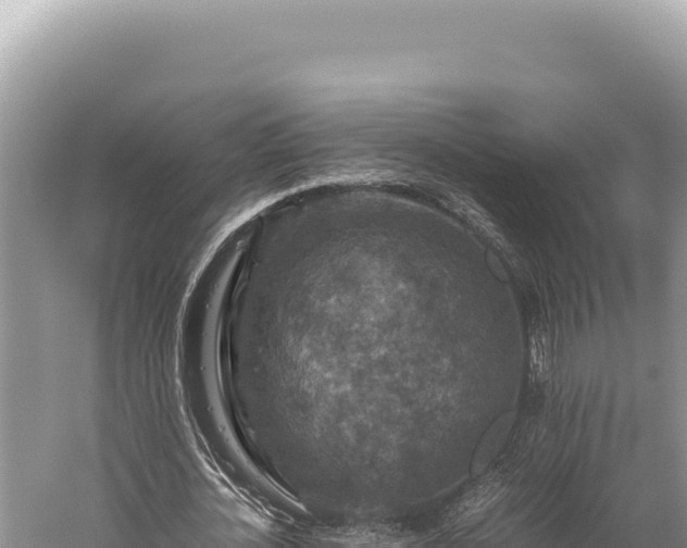 X0000059250724200510211628