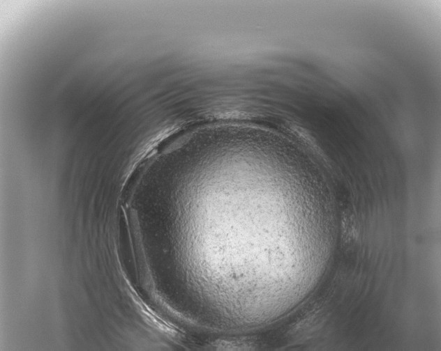 X0000059250725200510211628