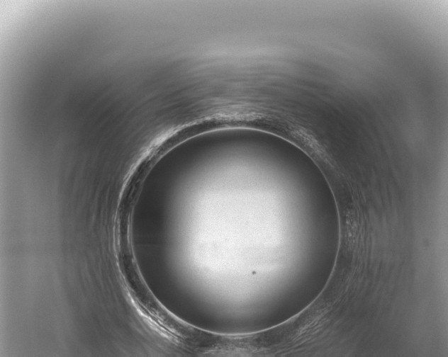 X0000059250726200510211628