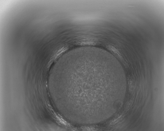 X0000059250729200510211628